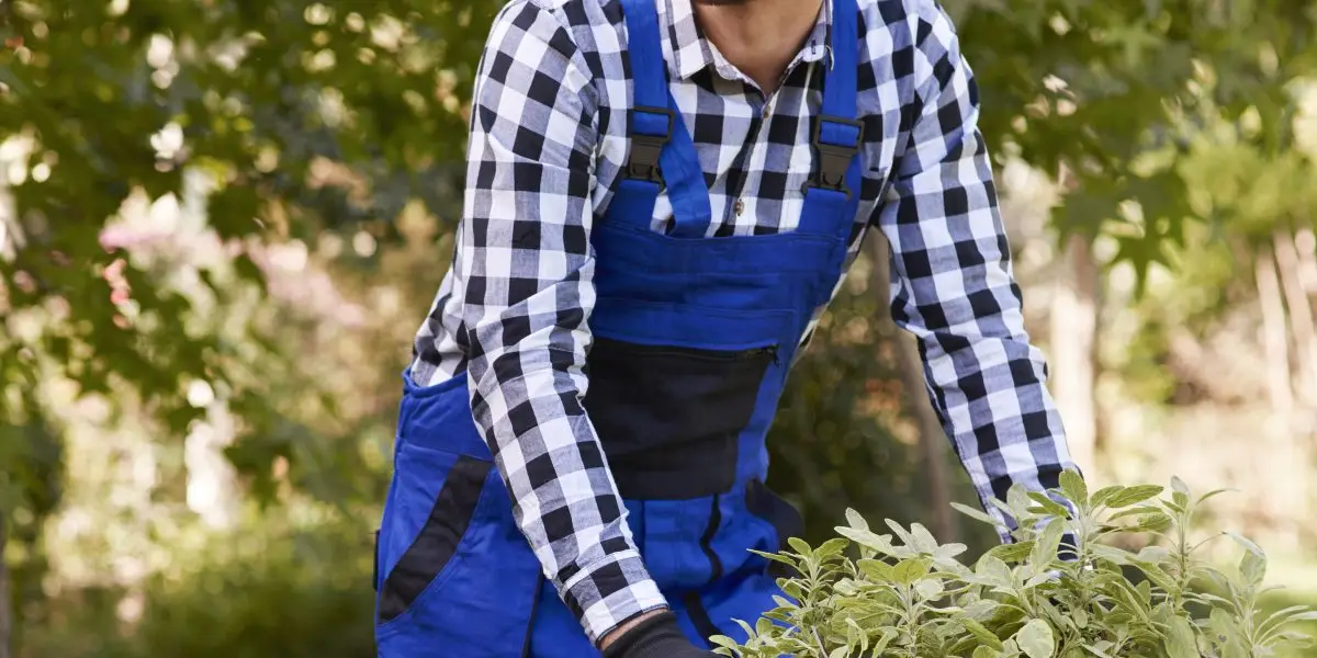 ruslan | gardener lifting wooden crate with seedling 2024 12 02 03 08 04 utc