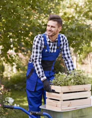 ruslan | gardener lifting wooden crate with seedling 2024 12 02 03 08 04 utc