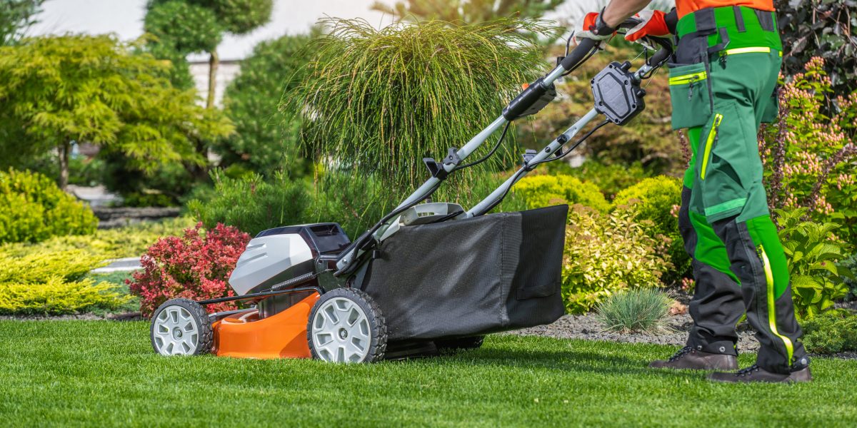 lawn care | gardener mowing a well maintained lawn in a vibran 2024 09 06 19 56 13 utc
