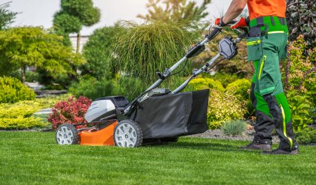 service | gardener mowing a well maintained lawn in a vibran 2024 09 06 19 56 13 utc