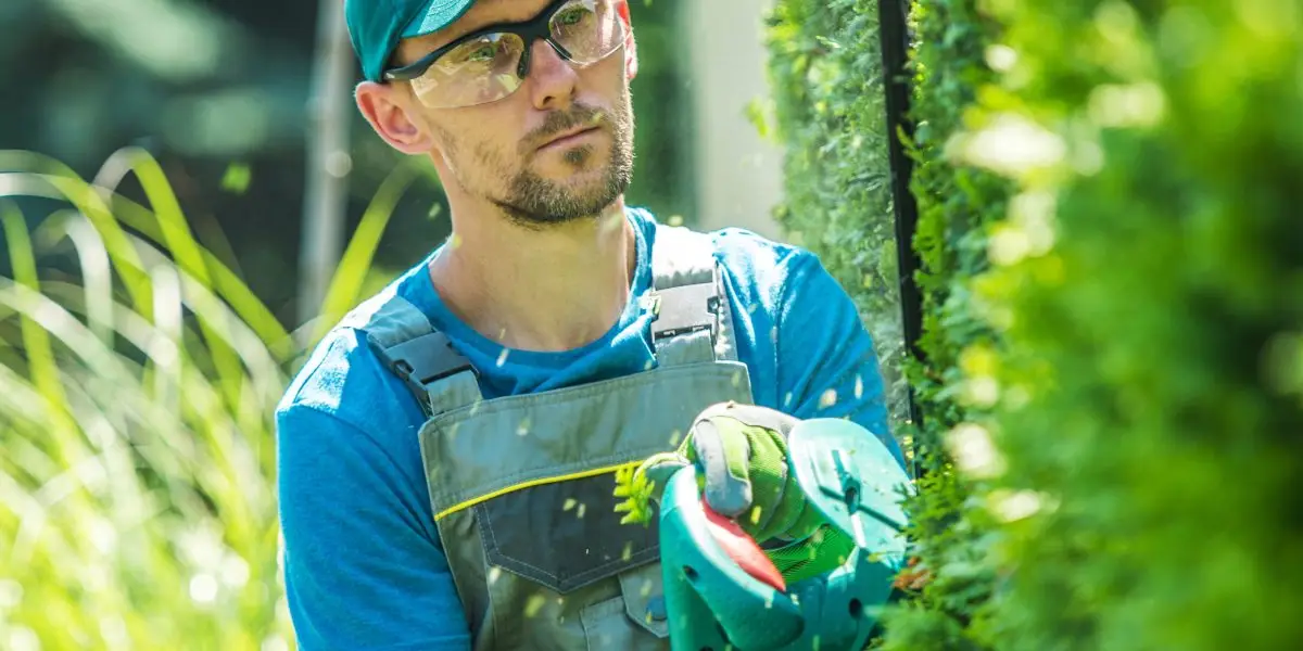 yuri | gardener trimming thujas 2023 11 27 05 18 48 utc