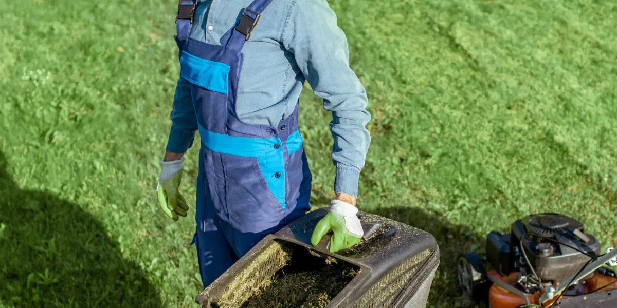 alex | gardener working with lawn mower on the backyard 2023 11 27 04 53 11 utc