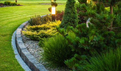 service | island bed garden design 2023 11 27 05 28 51 utc