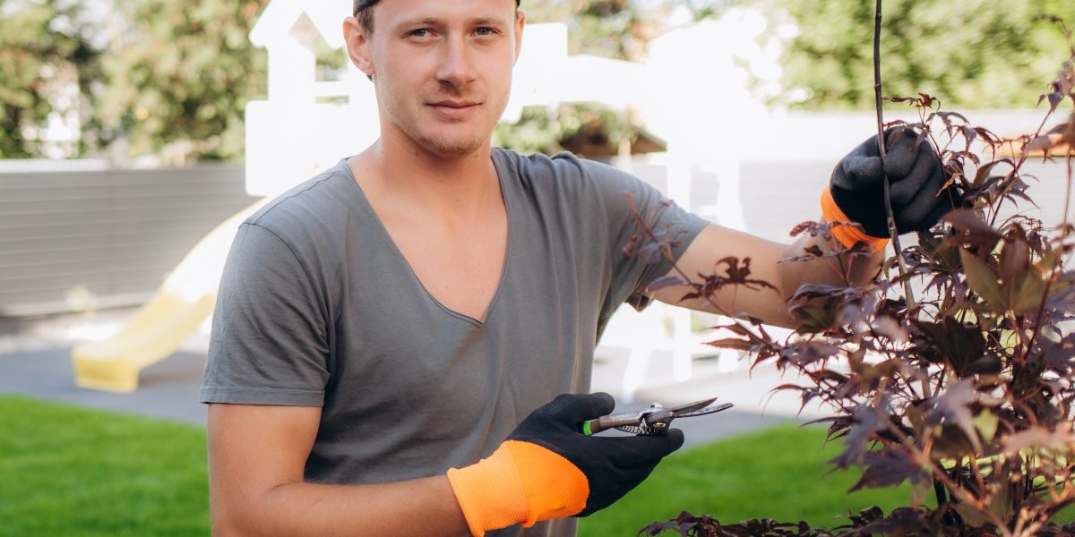 sasha | professional gardener at work gardener trimming g 2023 11 27 05 10 42 utc