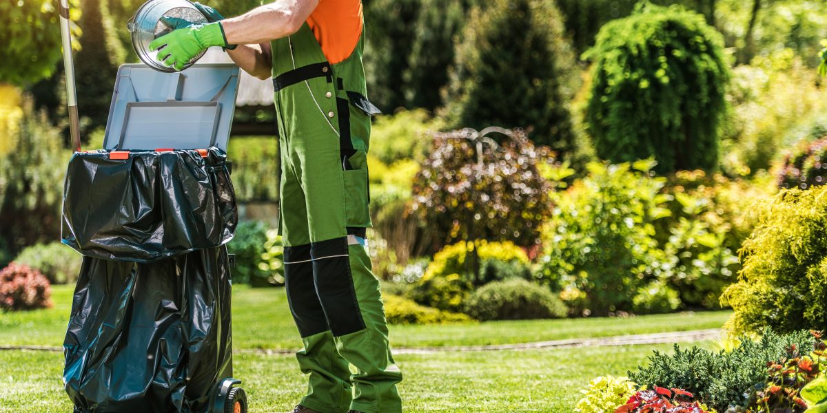 spring cleanup | spring time back yard garden maintenance and clean 2023 11 27 05 21 22 utc