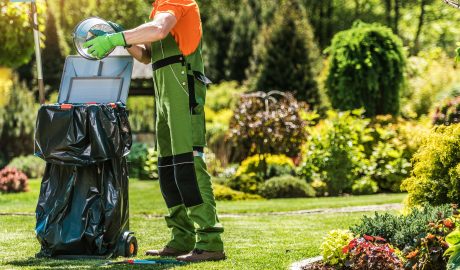 service | spring time back yard garden maintenance and clean 2023 11 27 05 21 22 utc