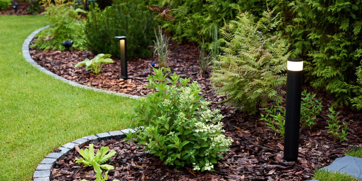 edging & mulching | a beautifully landscaped garden featuring striking 2024 12 06 03 54 39 utc