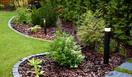 service | a beautifully landscaped garden featuring striking 2024 12 06 03 54 39 utc