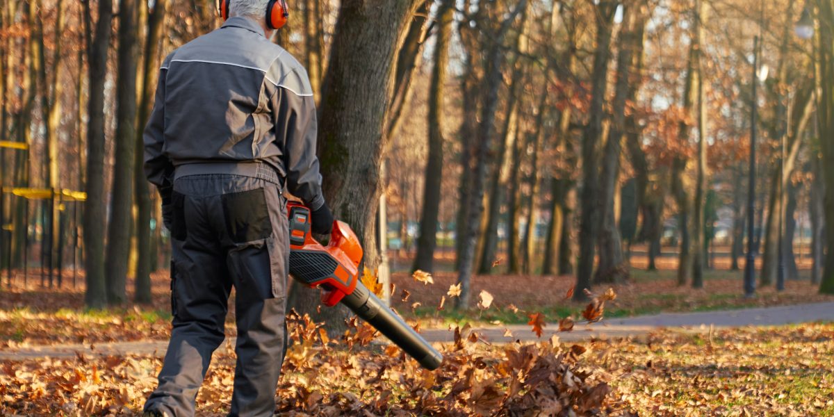 fall cleanup | anonymous man wearing earmuffs using leaf blower 2023 11 27 04 52 13 utc