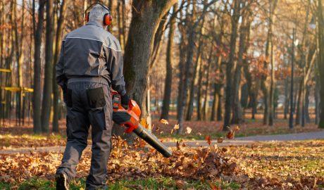 service | anonymous man wearing earmuffs using leaf blower 2023 11 27 04 52 13 utc