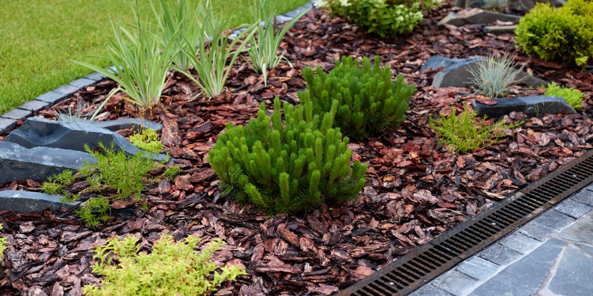 mulching | creating beautiful landscaping features with color 2024 12 05 18 48 27 utc