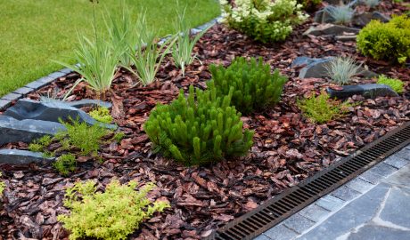 service | creating beautiful landscaping features with color 2024 12 05 18 48 27 utc