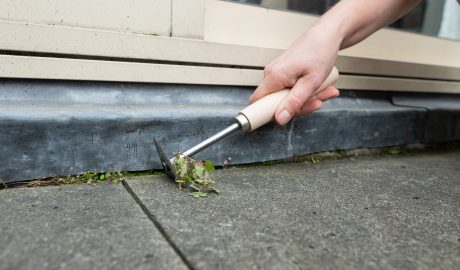 service | hand weeding pavement with garden tool 2024 02 09 04 25 01 utc