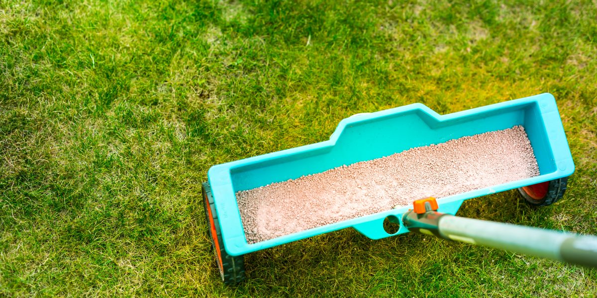 how to prepare your lawn for spring 🌿🌷 | lawn care lawn spring fertilization tool 2025 01 10 05 55 51 utc