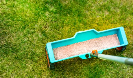 how to prepare your lawn for spring 🌿🌷 | lawn care lawn spring fertilization tool 2025 01 10 05 55 51 utc