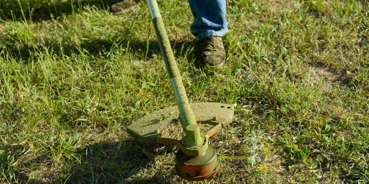 top 5 mistakes in lawn care 🚫🌱 | man mowing grass on a rural lawn close up 2024 12 08 05 01 06 utc