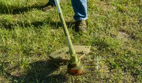 top 5 mistakes in lawn care 🚫🌱 | man mowing grass on a rural lawn close up 2024 12 08 05 01 06 utc