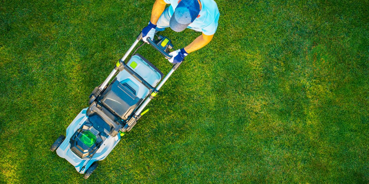 lawn mowing service in british columbia - henry’s ground services