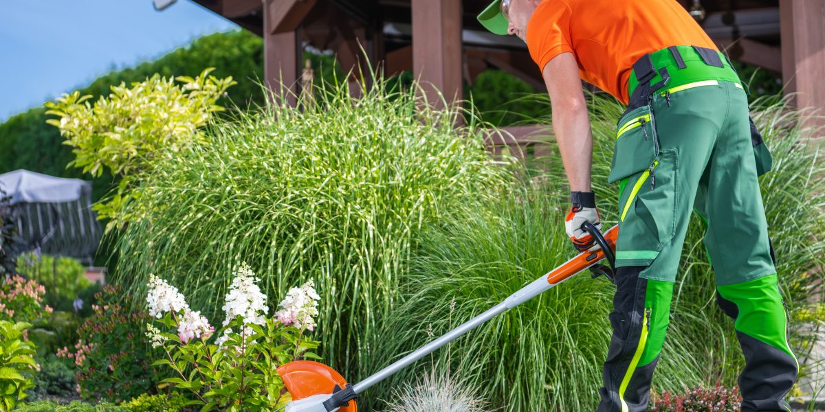 garden design | gardener trimming grass in a well maintained lands 2024 09 06 19 56 13 utc