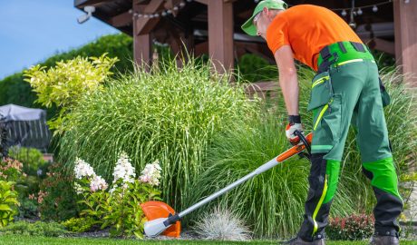 service | gardener trimming grass in a well maintained lands 2024 09 06 19 56 13 utc
