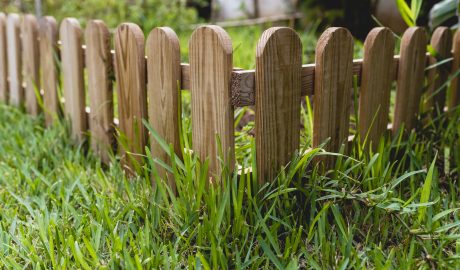 service | small wooden fence in a garden 2024 10 18 09 55 49 utc