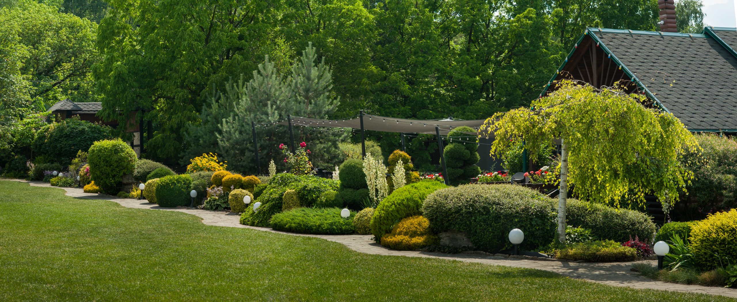 landscaping & lawn care services in bc | henry’s ground services | summer green garden with coniferous trees bushes 2025 01 08 02 55 04 utc scaled